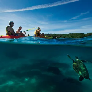 19295-ea893bcc-49b2-4c44-8463-0b7c8ef50787-fullsize