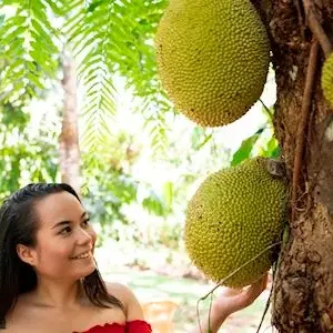 19749-7cf13cee-008f-4c0f-a7d0-68c2241462c0-thumbnail