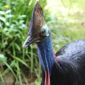 19749-bd549c6b-fc95-4ef5-8ee6-15c74bd279cd-thumbnail