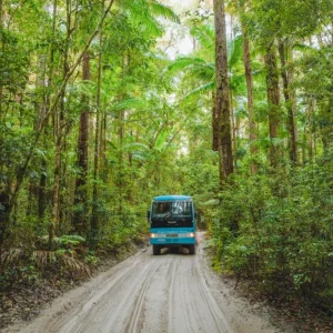 Dundee Adventure Travel | K’gari Explorer Tours | K’gari Overnight Tour – Hervey Bay – Resort Style K’gari day tour Hervey Bay, Lake McKenzie Fraser Island day trip, Maheno Shipwreck Fraser Island tour, Eli Creek K’gari 1 day tour.