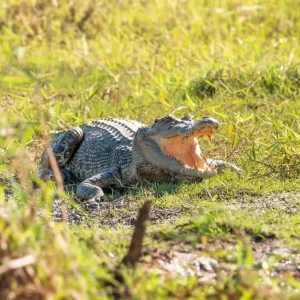 20250531_111630_0BF34F