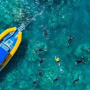 Dundee Adventure Travel | Southern Lights Tour with Tropical Lunch 25759-aed342d5-a8f4-460b-af12-bd0cc26fde3f-thumbnail