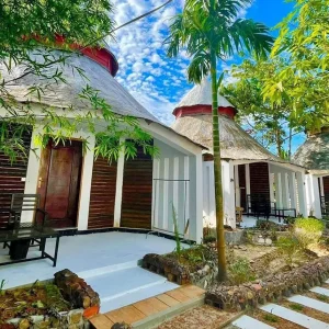 26910-9e68065a-0749-4a82-be4e-a9ada6675720-fullsize