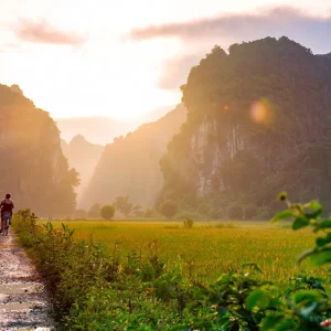 26910-a4fd50aa-d3a7-42b7-9a56-21d415cc6c41-fullsize