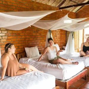 26910-d119d36f-64c9-49ac-8205-02367e01f4cd-fullsize