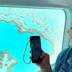 28866-7841633a-f002-478a-b797-b047c4b83b3b-thumbnail