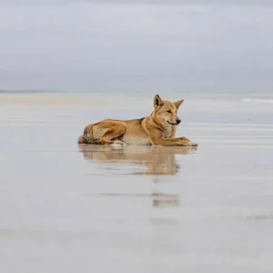 288952217_1271072823300277_1221579509308842466_n-uai-1060x1060