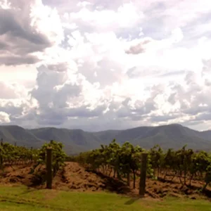 29817-255de6bd-16a6-46ae-8fac-bf5f3722d016-fullsize