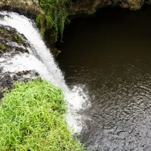 Dundee Adventure Travel | Nimbin day tour from Byron Bay 2B0A6706-768x510