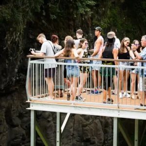 Dundee Adventure Travel | Nimbin day tour from Byron Bay 2B0A6712-768x510