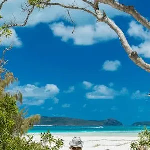 Dundee Adventure Travel | Southern Lights Tour with Tropical Lunch 30598-ad88c8c2-4189-482e-8e99-39336fd0c18d-thumbnail