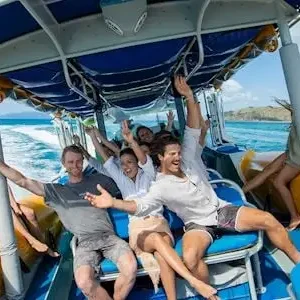 Dundee Adventure Travel | Southern Lights Tour with Tropical Lunch 30598-b460d490-e46d-470f-8818-b8c2eaa6d884-thumbnail