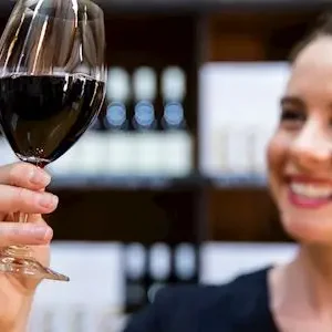 Dundee Adventure Travel | Hunter Valley Scenic Wine & Dine Day Tour Sommelier at Tyrell's Wines, Pokolbin.