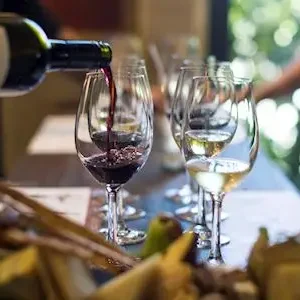 Dundee Adventure Travel | Hunter Valley Scenic Wine & Dine Day Tour Wine tasting at Margan Wines and Restaurant, Broke in the Hunter Valley.