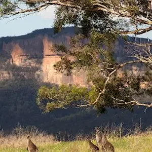 Dundee Adventure Travel | Autopia Tours | Blue Mountains Sunset Without Crowds 30643-a12b2be5-c5f3-45a2-8562-239abd75fe0e-thumbnail