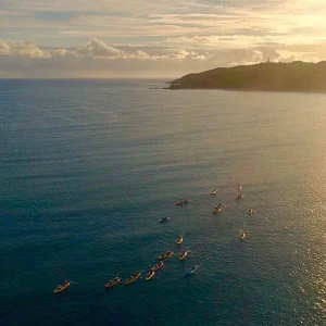 Dundee Adventure Travel | Go Sea Kayak | Byron Bay Sea Kayak Tour Sunrise 30962-41350900-4fd8-407c-adfd-32122364c1a7-fullsize