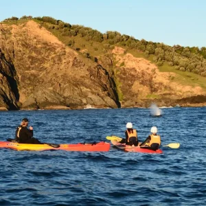 Dundee Adventure Travel | Go Sea Kayak | Byron Bay Sea Kayak Tour Sunrise 30962-794081d2-c7e3-45a3-a64e-b6cc1ac2a193-fullsize