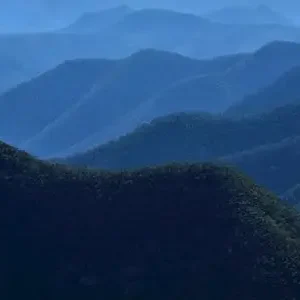 31596-962f69e0-d168-4a51-adda-419dcacd8b7f-thumbnail