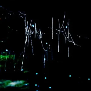 Dundee Adventure Travel | Wildscape Adventures | Blue Mountains Into the Wild Overnight Camping 4WD Off Road Wilderness Adventure + River cruise 31602-aa7b777e-9155-447d-91ae-a2cb9a0f58ee-midsize