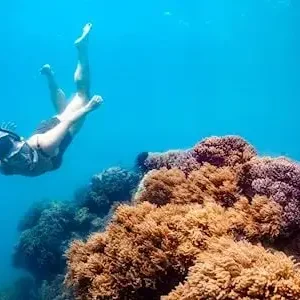 Dundee Adventure Travel | Thundercat Whitsundays Day Tour 32707-596ae578-78b5-418b-ac9a-49fbebad52af-thumbnail