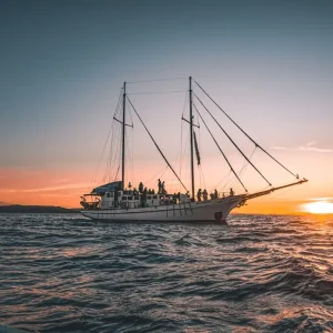 32802-2f17c759-b24a-4a3b-a4ca-dddd693eebbd-fullsize