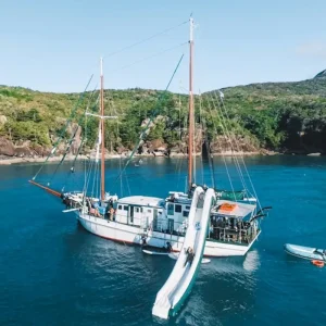 32802-aff40dcf-5eb1-4662-87f2-aceecd64d3cd-fullsize