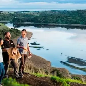 Dundee Adventure Travel | Great Ocean Road Melbourne to Adelaide 3 Day (Shared Accommodation) 32820-365edeaa-6e62-41f0-b983-806624e70369-thumbnail