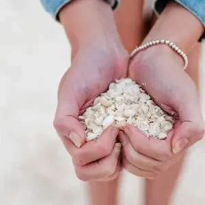 Dundee Adventure Travel | Autopia Tours | 6 Day Perth to Exmouth Coral Coaster 33407-4311bdf1-7c67-4745-aecc-1e2cdaf2f433-thumbnail