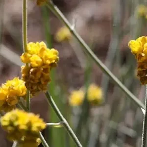 Dundee Adventure Travel | Autopia Tours | 6 Day Perth to Exmouth Coral Coaster 33407-624f9907-5797-4cfd-af0f-c0c2d6ccbae0-thumbnail