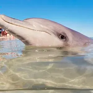 Dundee Adventure Travel | Autopia Tours | 6 Day Perth to Exmouth Coral Coaster 33407-adb2b221-e16b-4529-ae81-d2e69085ff3e-thumbnail