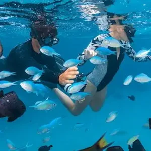 Dundee Adventure Travel | Autopia Tours | 6 Day Perth to Exmouth Coral Coaster 33407-d3a149a9-99d9-4477-a3e6-244087c9f686-thumbnail