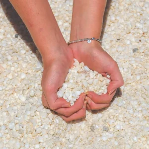 33408-0b249401-a166-42f5-bfb7-f5e2d9228047-fullsize (1)