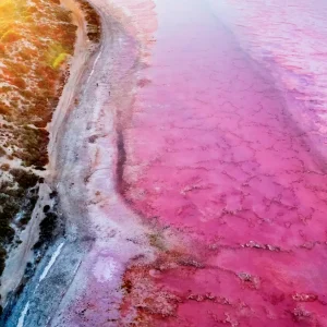 33408-a2777a4a-a6f9-47d2-9977-1b761f3fa4b7-fullsize