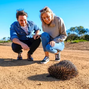 33408-cb2925bc-61ec-4f3e-a822-864c6739401f-fullsize