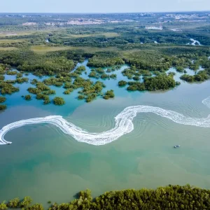 Dundee Adventure Travel | 00Seven Adventures | Casino Royale Jetski Tour 33839-668032cb-c383-4746-97f1-5f7b30a39e2d-fullsize