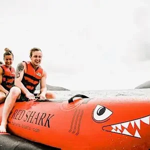 Dundee Adventure Travel | Tongarra – Day Sail 34000-5da213ce-8eb4-45f6-8159-9eef33d209bd-thumbnail