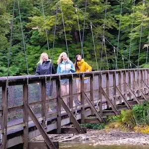 Dundee Adventure Travel | NZ Adventure South 34034-188dab65-7218-444d-8c27-0e468d61546a-thumbnail