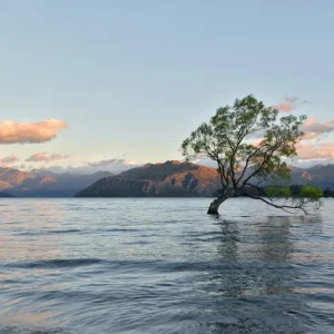 Experience a 6 hour Arrowtown Wānaka Highlights Tour