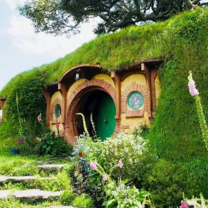 Dundee Adventure Travel | NZ Adventure – Auckland to Queenstown (17 Day) 34279-a339090d-76d1-4399-918e-82ef90b203f1-fullsize-uai-1000x1000