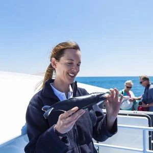 CREATOR: gd-jpeg v1.0 (using IJG JPEG v62), quality = 90