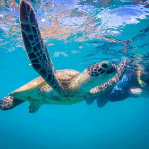 Dundee Adventure Travel | Powerplay | Whitsunday Sailing Adventures 34711-14e28c27-08f4-44b2-abeb-b7a79b91f5e1-fullsize