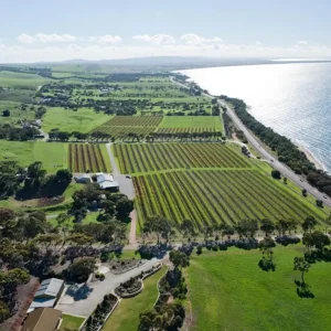 Dundee Adventure Travel | Untamed Escapes | Coffin Bay Day Tour 35201-060eaf4a-b73a-46fb-acdb-0cd58f1da67b-fullsize