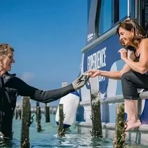 Dundee Adventure Travel | Untamed Escapes | Coffin Bay Day Tour 35201-499dc950-8c5b-4f8b-bf4b-2db91937aed9-thumbnail