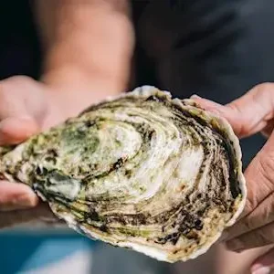 Dundee Adventure Travel | Untamed Escapes | Coffin Bay Day Tour 35201-9bdec89b-1371-4611-a986-51b5df0eb66b-thumbnail