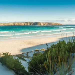 Dundee Adventure Travel | Untamed Escapes | Coffin Bay Day Tour 35201-f9ea999e-4ddd-4794-aca9-be60ac31c345-fullsize