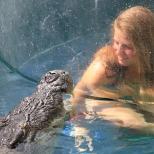 35781-80c6d8c8-fd5a-467b-b8d6-d950e337178f-fullsize