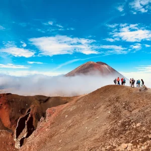 Dundee Adventure Travel | RURU Auckland-Christchurch Select Tour (Twinshare) 35968-23e250d8-739f-4cfe-896e-a8468fb2f27e-fullsize