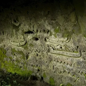 Dundee Adventure Travel | RURU Auckland-Christchurch Select Tour (Twinshare) 35968-93aa3add-4740-4009-9d6d-8e4cc7f73345-fullsize