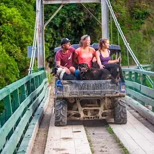 Dundee Adventure Travel | PUKEKO Auckland-Wellington Select Tour (Twinshare) 35969-1b2cedaa-1187-4008-b41f-a2125aaf1819-thumbnail