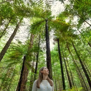 Dundee Adventure Travel | PUKEKO Auckland-Wellington Select Tour (Twinshare) 35969-2aeb2cf7-4bca-402b-870d-59bf30b0179b-fullsize